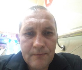 Иван, 44 года, Подольск