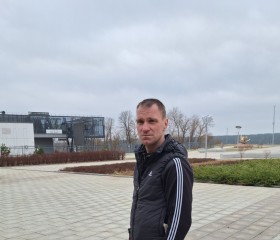 Николай, 44 года, Тула