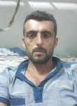Murat, 19 лет, Beylikdüzü