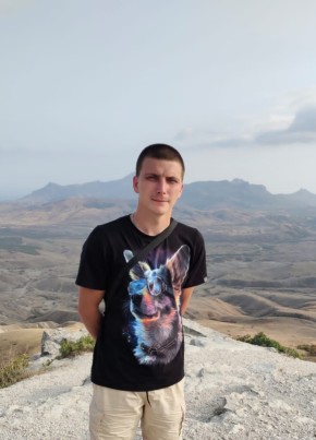 Vladimir, 28, Russia, Voronezh