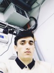 Саидмехр Амир, 23 года, Москва
