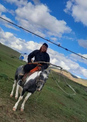 Gi, 29, Монгол улс, Булган