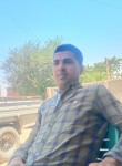 عبدالحليم سعيد, 35  , Cairo