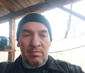 Alisher Khaligov, 50 лет, Toshkent