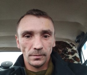 Анатолий, 39 лет, Знаменское (Омская обл.)