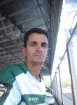 carlos, 51 год, Araçatuba