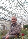 Noro, 58  , Yerevan