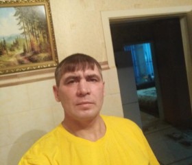 Андрей Сайкин, 44 года, Свободный