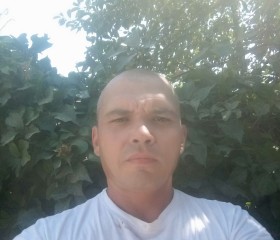 Евгений, 44 года, Toshkent