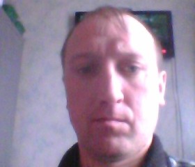 Анатолий, 43 года, Оленино