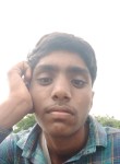 Nageshwar, 19 лет, Indore