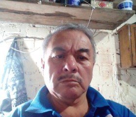 Antonio Castañed, 60 лет, México Distrito Federal
