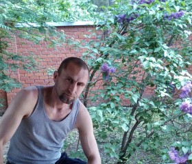 Denis 😂, 43, Samara