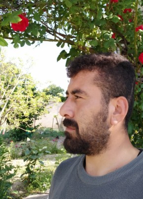 Mustafa, 29, Türkiye Cumhuriyeti, Niksar