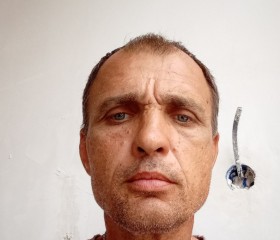 Анатолий, 48 лет, Ростов-на-Дону