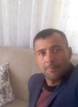 Mustafa, 42 года, Malkara