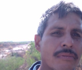 Lorenzo, 47 лет, Laredo