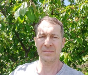 Михаил, 48 лет, Iași