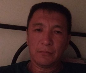 Ринат, 46 лет, Алматы
