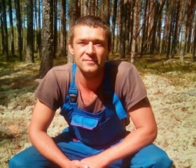 Виталий, 39 лет, Палкино