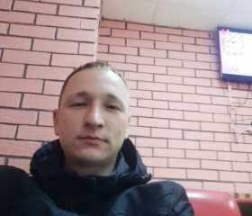 Роман, 31 год, Санкт-Петербург