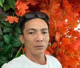 Hoàng Nam, 38 лет, Thành phố Hồ Chí Minh
