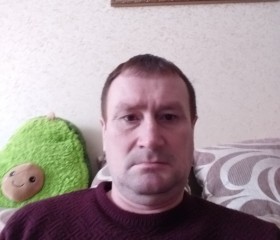 Айнур, 48 лет, Казань