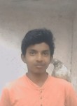 Mohammed parvesh, 18 лет, Chennai