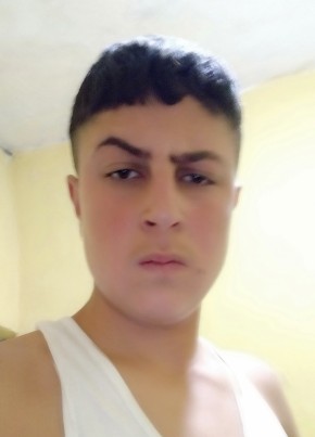 Arif Bilen, 21, Türkiye Cumhuriyeti, Hashır