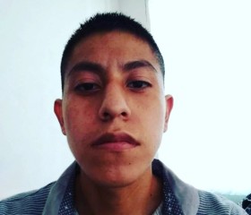 Manuel Medina, 20 лет, Santiago de Querétaro