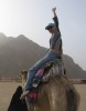 Елена, 39 - Только Я Египет верблюд