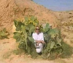 Wahid, 33, Reghaia