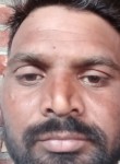 Kuldeep siugh, 34 года, Chandigarh