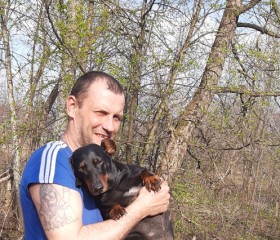 Сергей, 47 лет, Шуя