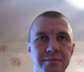 Андрей, 43 года, Петрозаводск