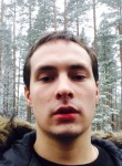 Алексей, 31 год, Гатчина
