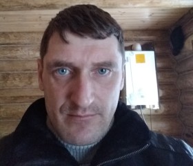 Владимир, 42 года, Пено