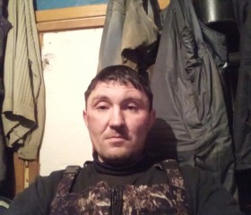 Николай, 41 год, Рязань