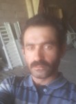 Kemal, 38 лет, Ankara