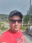 Александр Абашев, 39 лет, Новосибирск