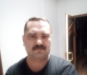 Владислав, 49 лет, Кораблино