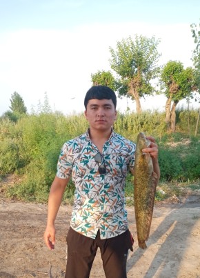 Андрей, 59, O‘zbekiston Respublikasi, Toshkent