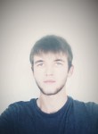 Александр, 27 лет, Toshkent