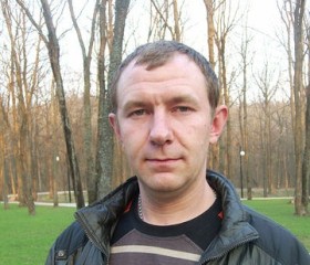 Владимир, 41 год, Строитель