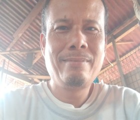 benjie, 43 года, Lungsod ng Bacolod