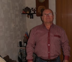 Михаил, 68 лет, Тольятти