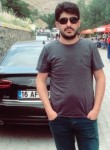 Mehmet, 39 лет, Kars