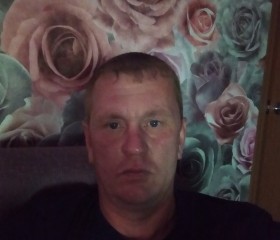 Андрей, 43 года, Калачинск