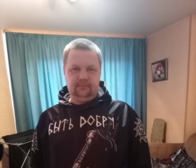 Илья, 43 года, Мурманск