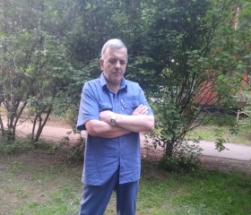 Valentin, 54, Golitsyno